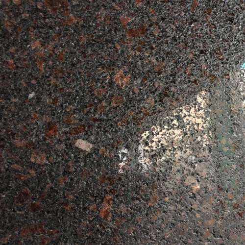 Delight Brown Lapothra